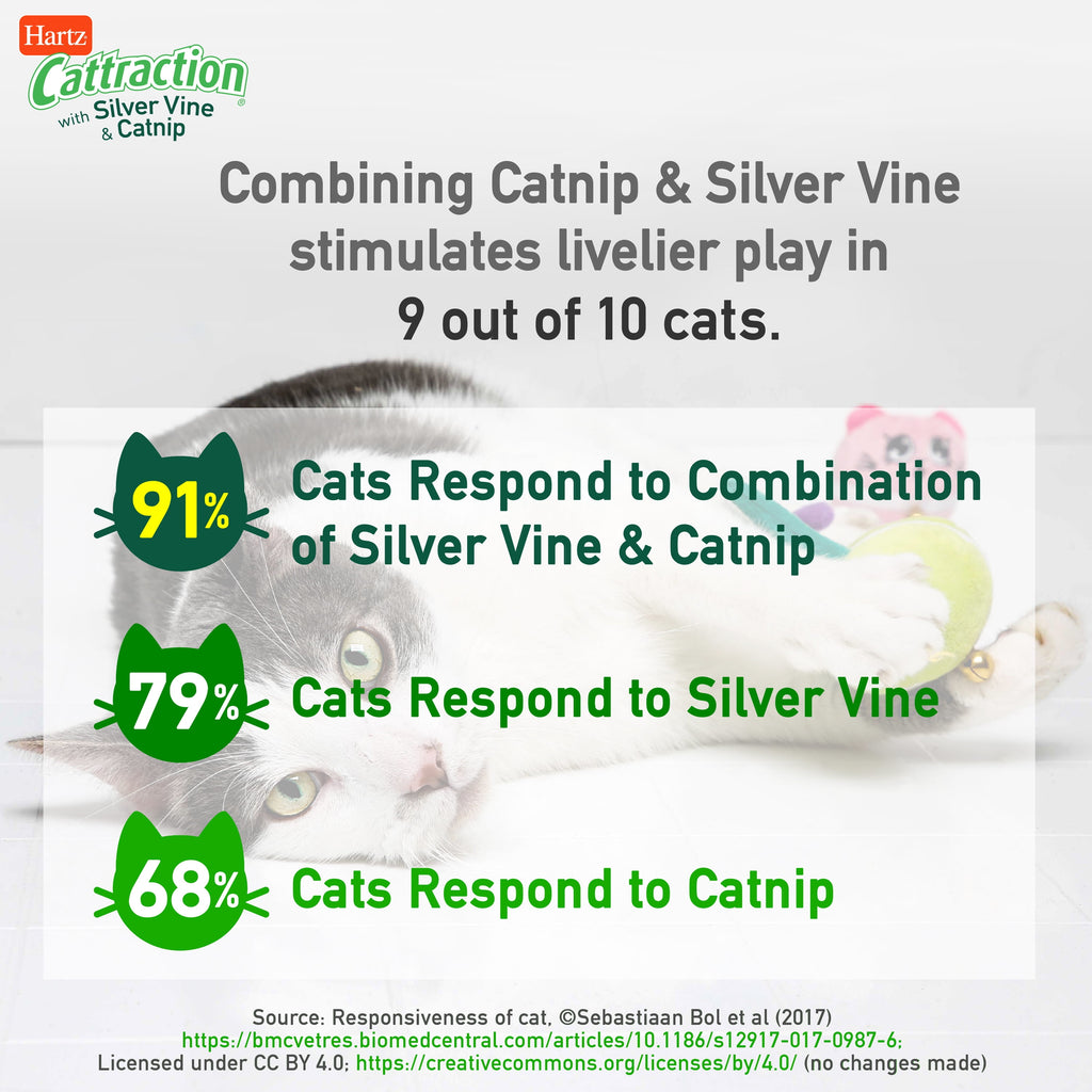 Hartz Cattraction Gator Scratch Cat Toy with Silver Vine and Catnip, Color May Vary