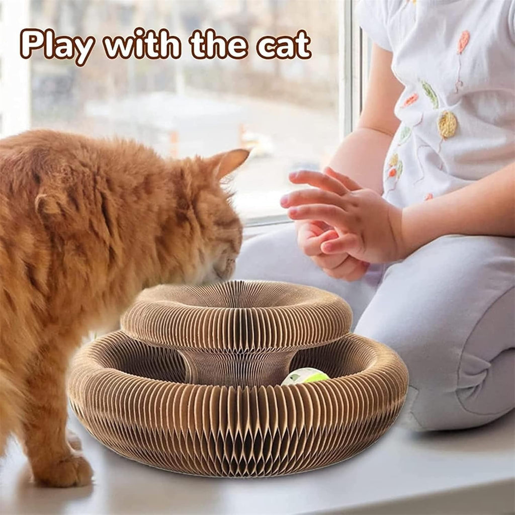 Marlene Kitty Kurlz, Kitty Curls Cat Toy, Cat Kurlz, Reversible Infinity Style Magic Organ Cat Scratching Board, Made from Recycled Corrugated Cardboard Durable & Long Lasting (2Pcs)