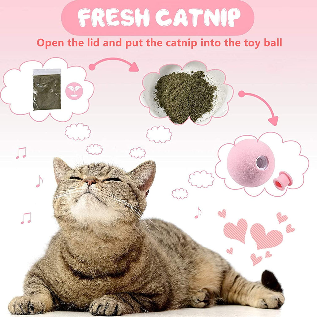 Cat Toy Ball - Interactive Cat Toys for Indoor Cats Refillable Catnip Toys for Cats Kitten Pet Cat Kicker Toys of Funny Lifelike Animal Chirping Sounds Bird Cricket Frog 3PCS B