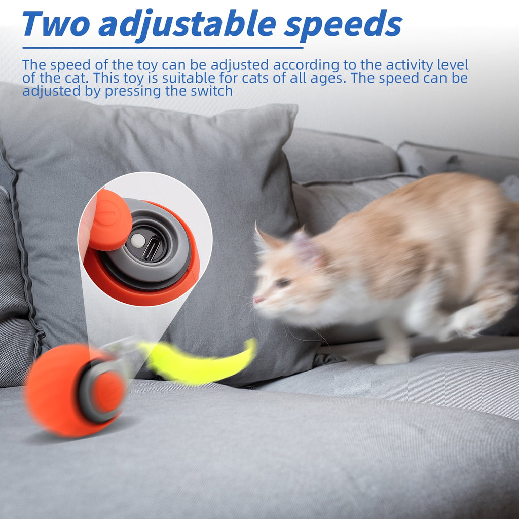 2PCS Speedy Tail 2.0, Interactive Cat Toy for Indoor Cats, Automatic Moving Cat Toy Ball, USB Rechargeable Smart Cat Toys Ball with Replacement Tail, 2 Speed Adjustment