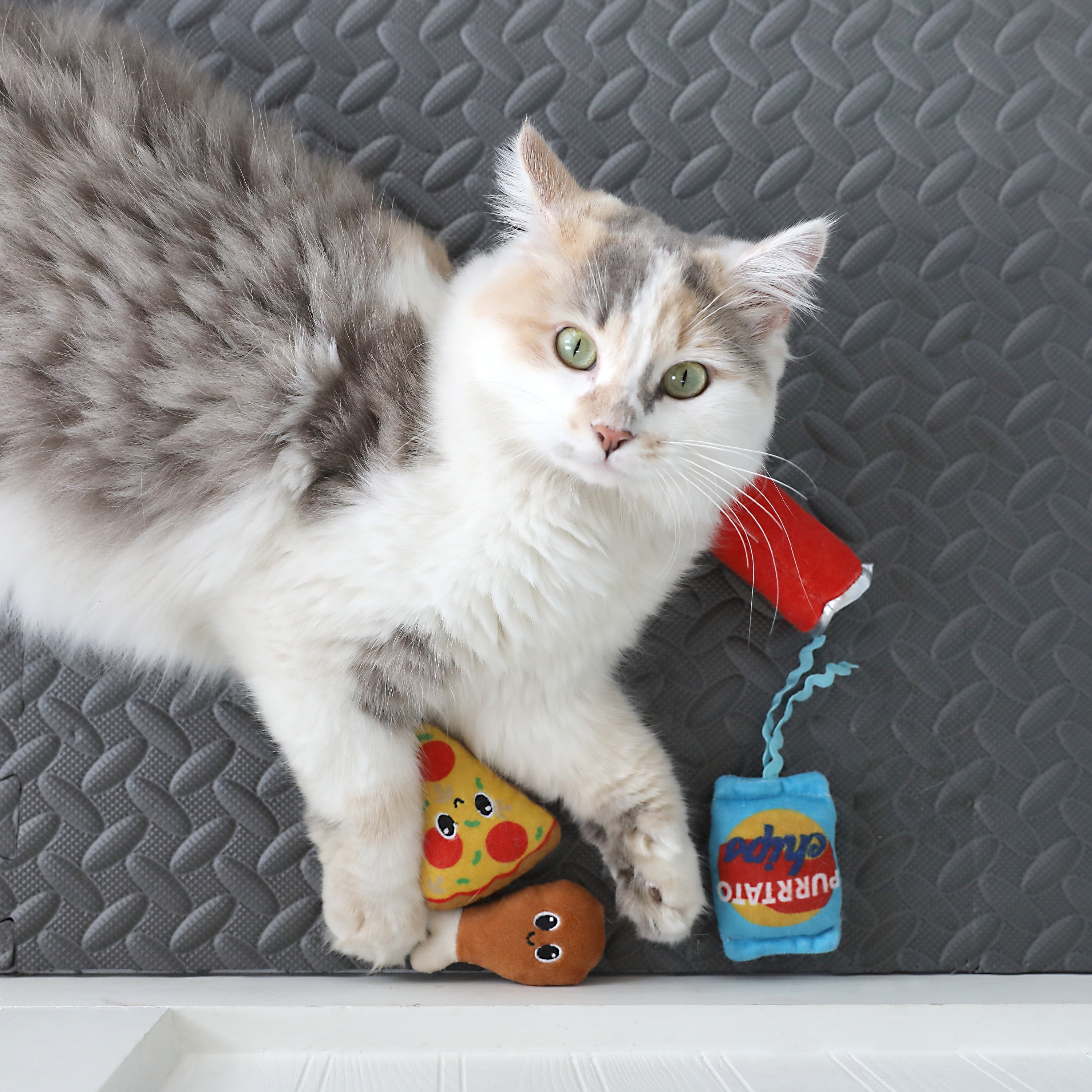 Vibrant Life Pizza Purrty Plush Catnip Filled Cat Toys, 4 Pack