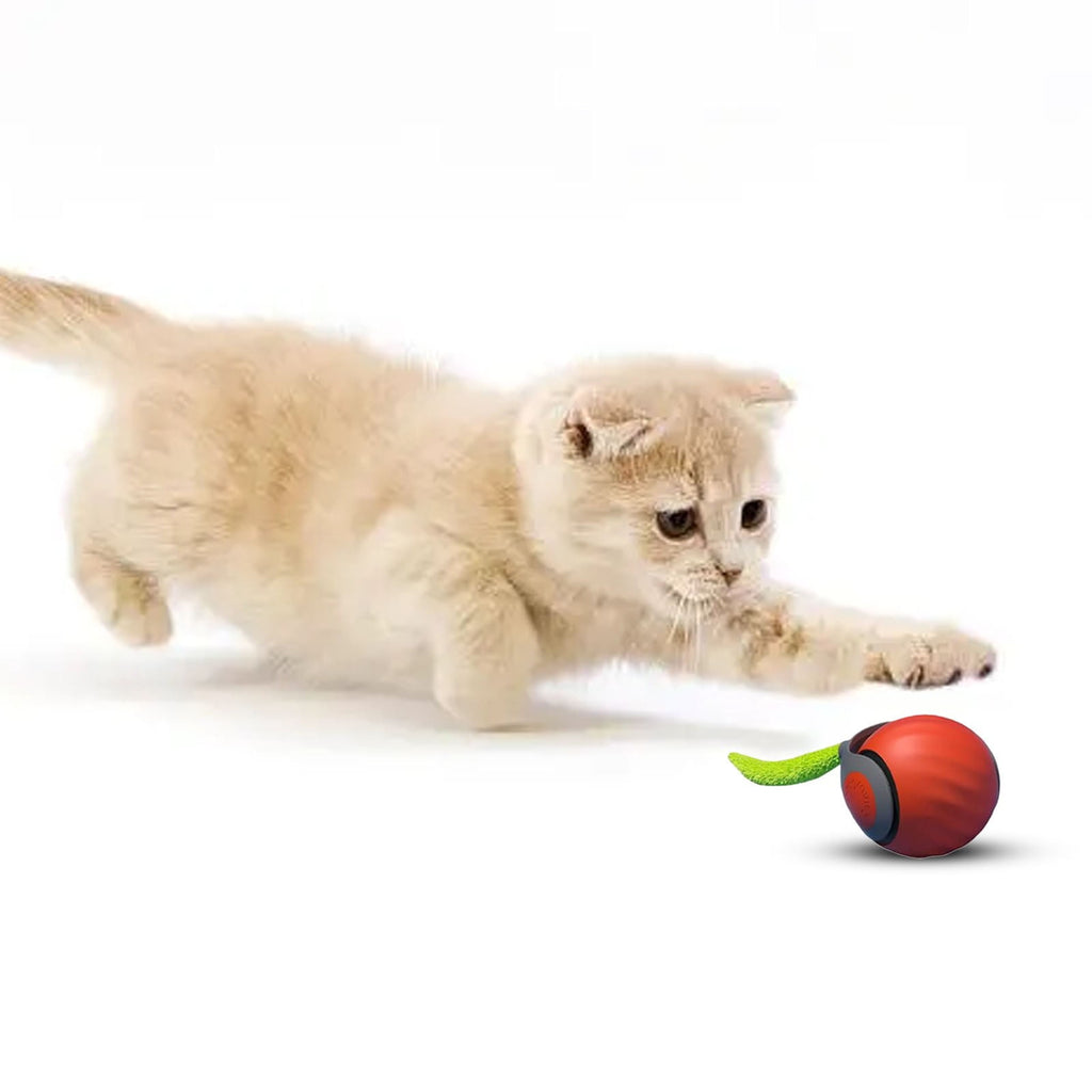 Speedy Tail Cat Toy 2.0 – USB Rechargeable Smart Moving Cat Toy Ball for Indoor Cats, Two Speed Adjustment & Replacement Tail