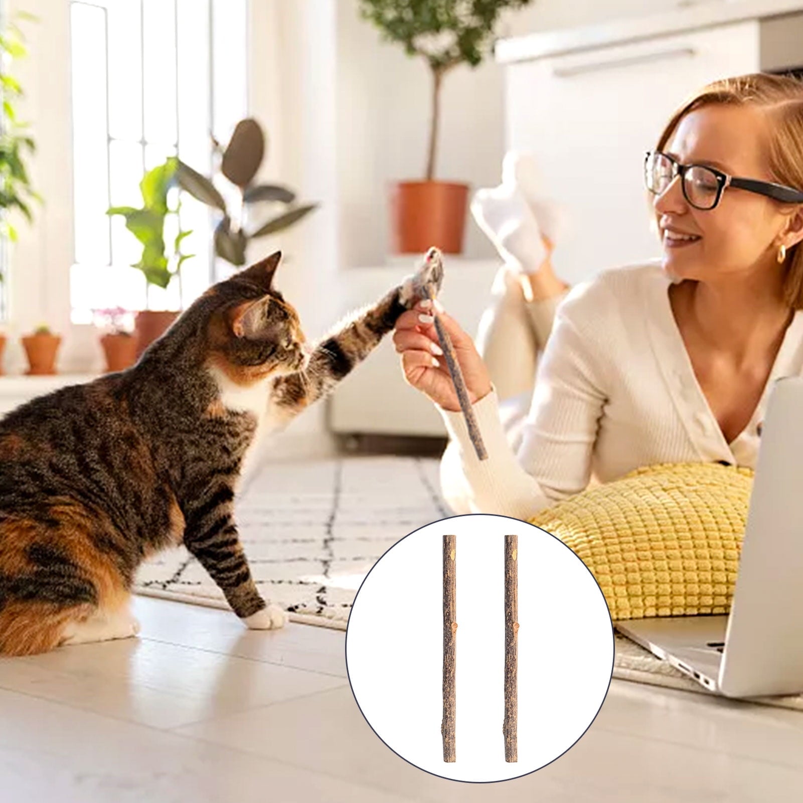 sixwipe 30 Pcs Silvervine Sticks for Cats, 8 Pcs Skitter Critters Cat Toy Catnip Mice, Natural Catnip Sticks Chew Sticks, Teeth Molar Chew Toys for Cat Kitten Kitty