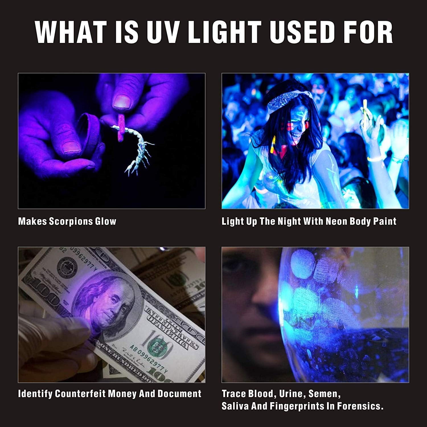 Reactionnx Cats Laser Pointer, Pet Training Tool Interactive Chaser Toy