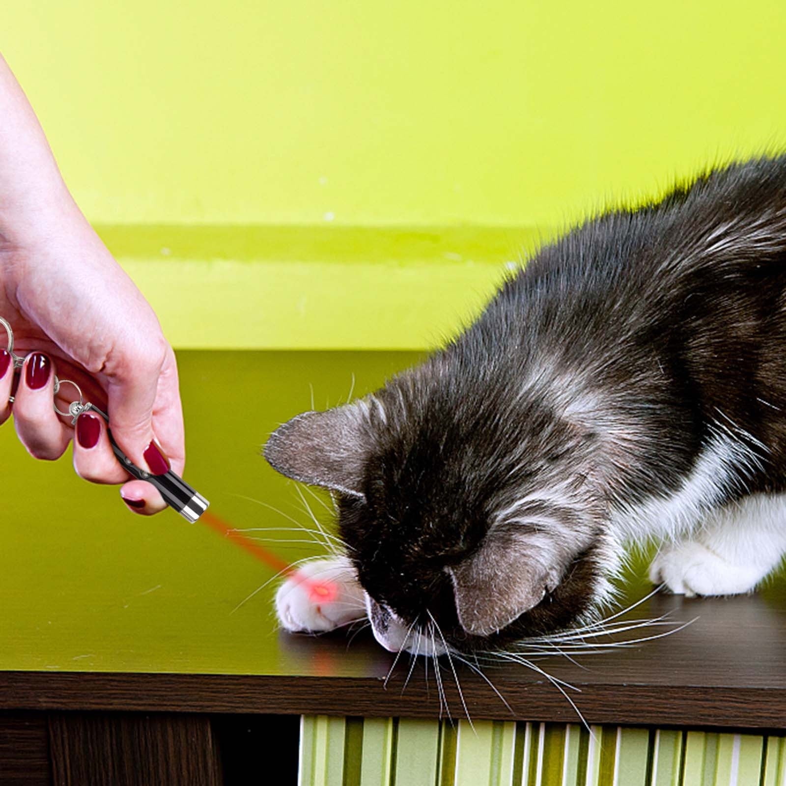 Cat Toy Mini Red Laser Pointer Cat Dog Interactive Training Tools White LED Torch Light with Keychain