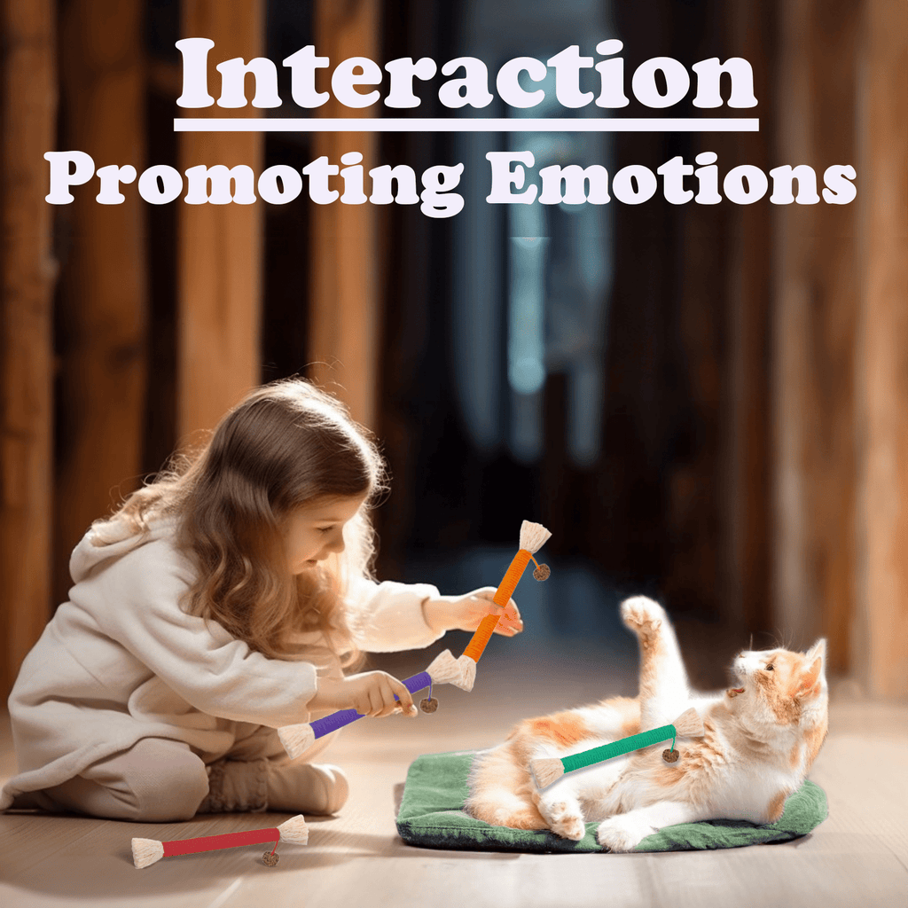 Grembeb 12 Pack Cat Chewing Toy Catnip Kitten Treat Kitten Silvervine Stick for Teeth Indoor Puppy Breeds