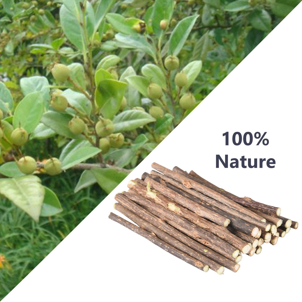 sixwipe 30 Pcs Silvervine Sticks for Cats, 8 Pcs Skitter Critters Cat Toy Catnip Mice, Natural Catnip Sticks Chew Sticks, Teeth Molar Chew Toys for Cat Kitten Kitty