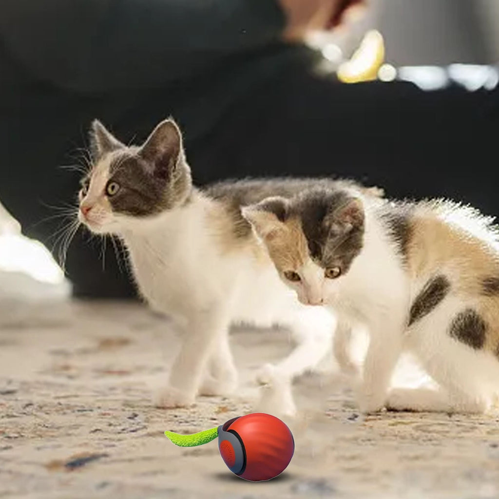 Speedy Tail Cat Toy 2.0 – USB Rechargeable Smart Moving Cat Toy Ball for Indoor Cats, Two Speed Adjustment & Replacement Tail