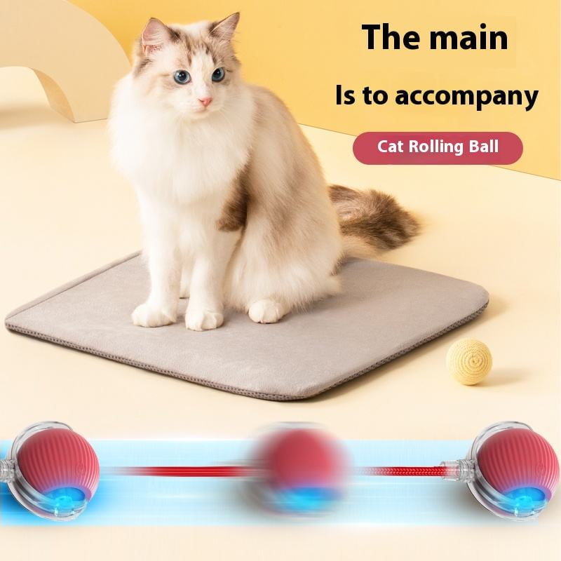 Smart Cat Toy Interactive Smart Ball, Speedy Tail 2.0 Cat Toy