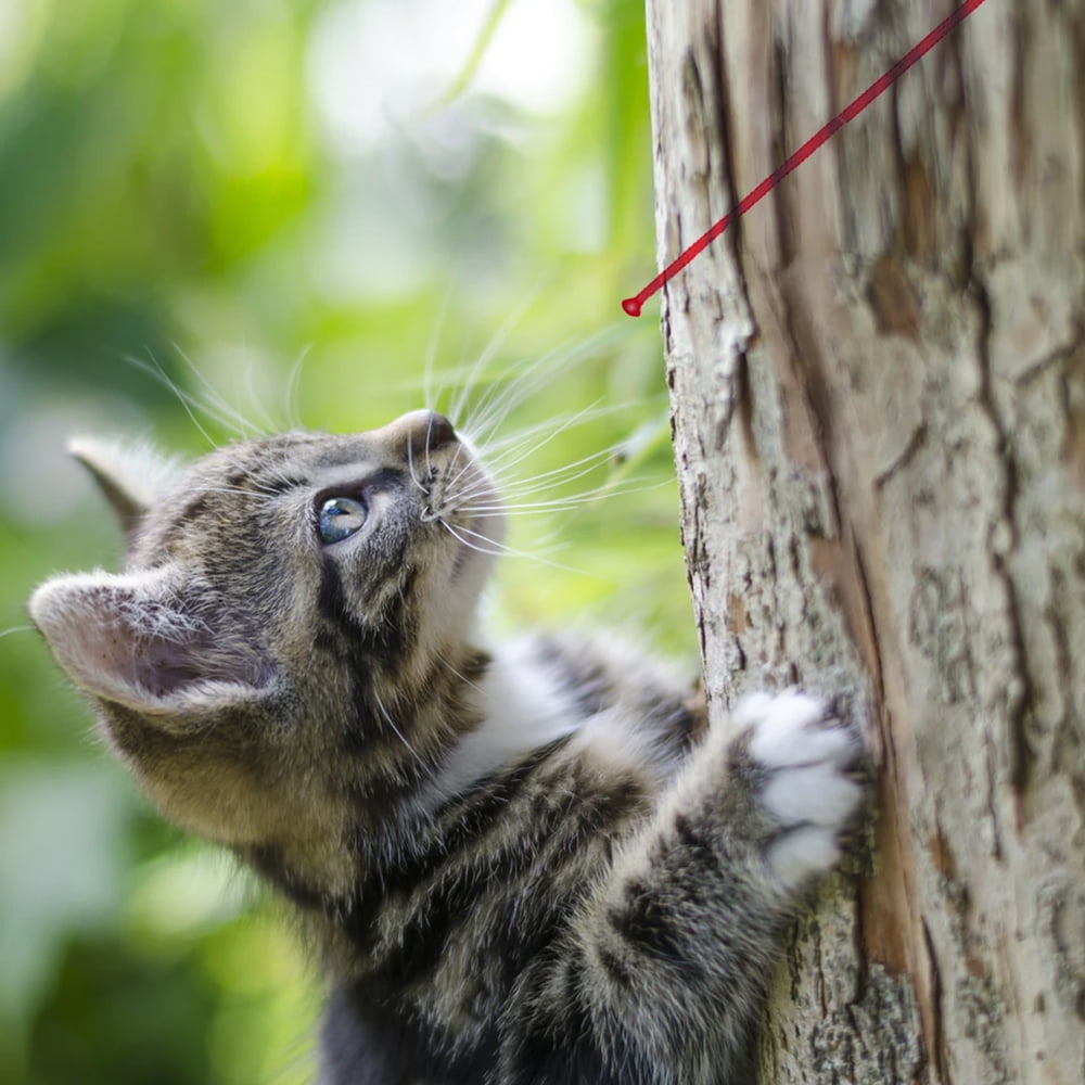 Interactive Laser Light Pointer Pet Cat Chaser Exercise Toy Funny Pen Key Chain