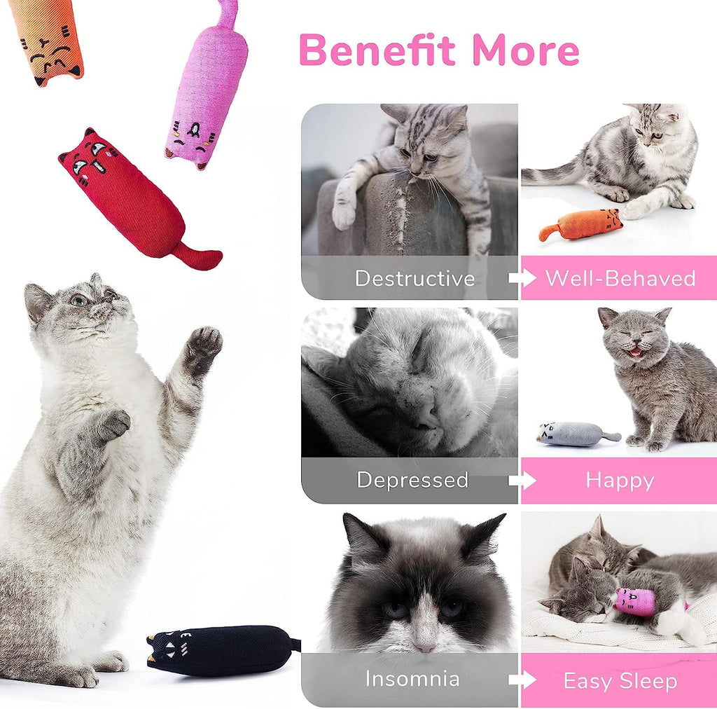 5Pcs Catnip Toys, Catnip Filled Cartoon Mice Cat Teething Chew Toy (Multicolor)