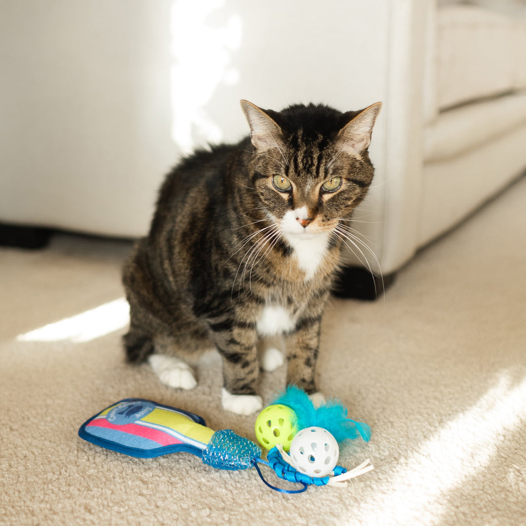 Vibrant Life Pickleball Cat Toys with Catnip, 3 Pack