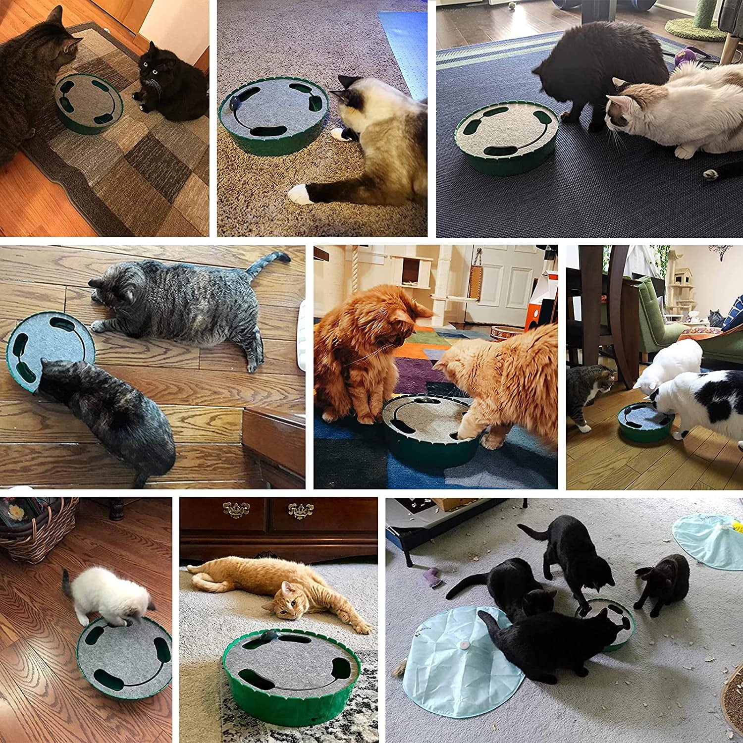 Pawaboo Cat Toy with Running Mouse, Motion Cat Toy Teaser for Indoor Cats, Pop and Play Hide Seek Cat Toy Hunting Mouse for Pet Cat Kitten Play Fun Exercise, Blue