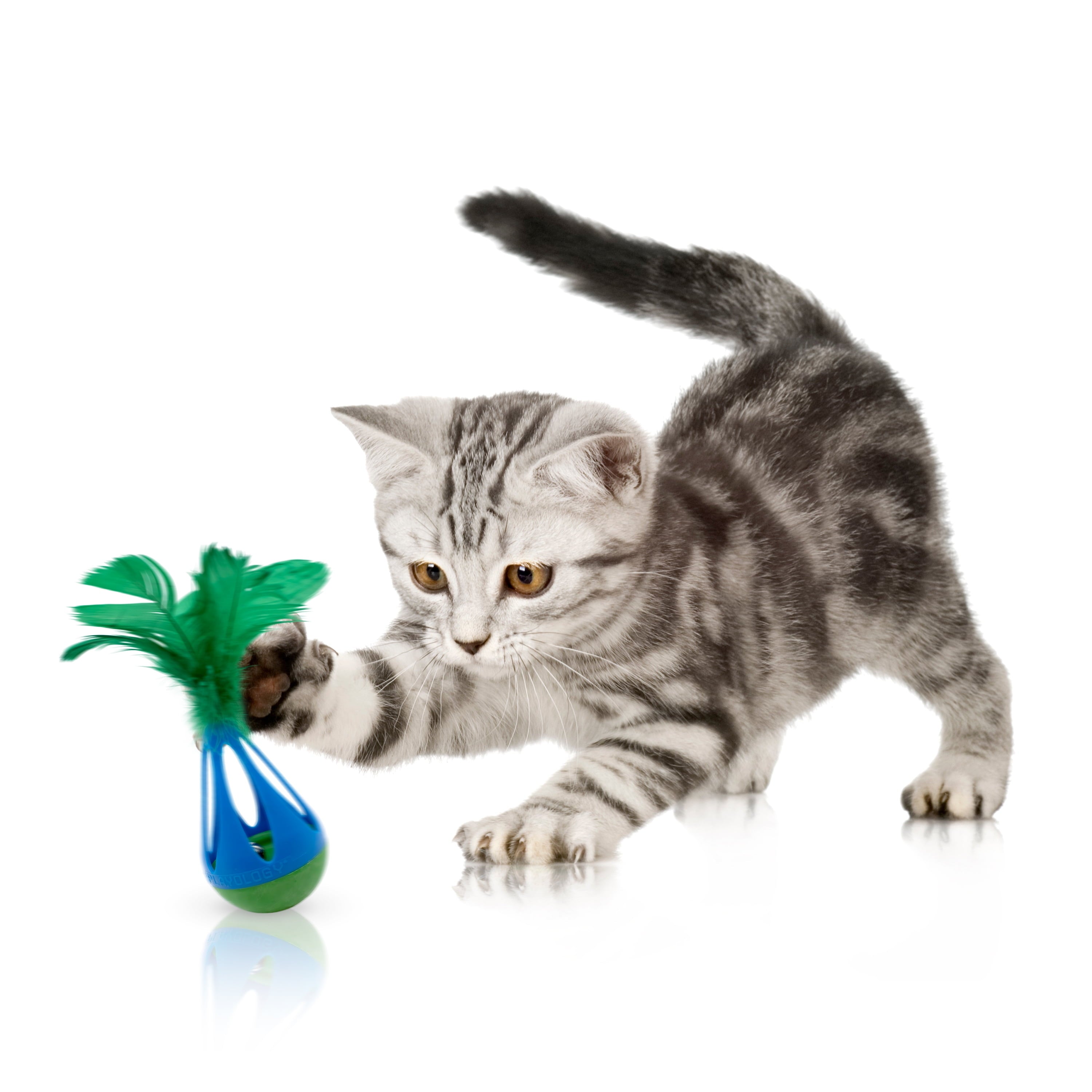 Playology Cat Toys | Interactive Teeter Totter Toy with Bells and Feathers, 2-Pack