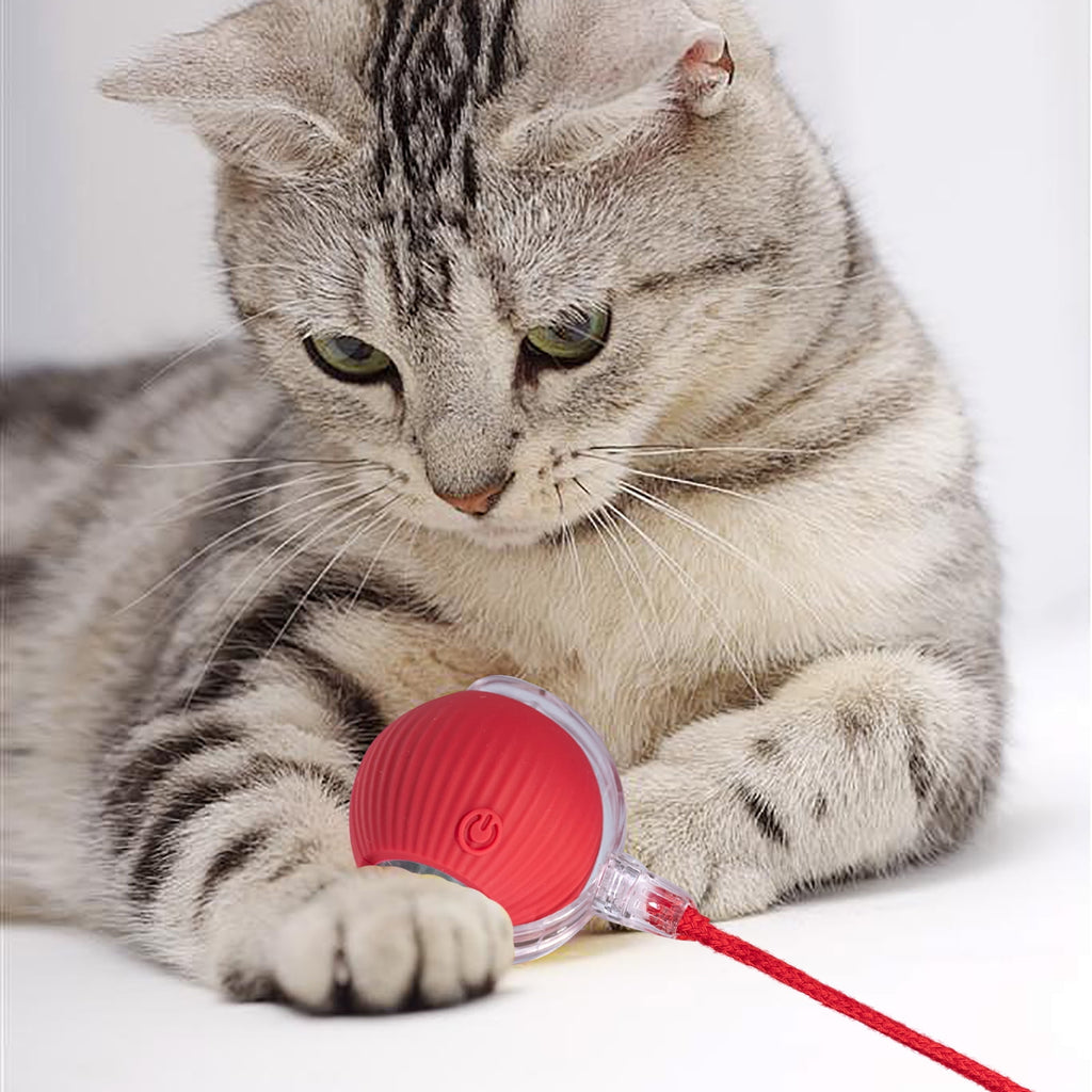 Interactive Dog Ball, Electric Dog Ball Toy, Interactive Rolling Dog Ball, Interactive Cat Toy Ball, Electric Rolling Ball Dog Toy, Smart Interactive Cat Toy Ball