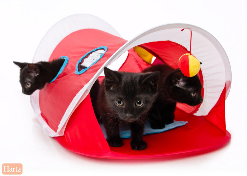 Hartz Just For Cats Peek and Play Pop-Up Tent Cat Toy