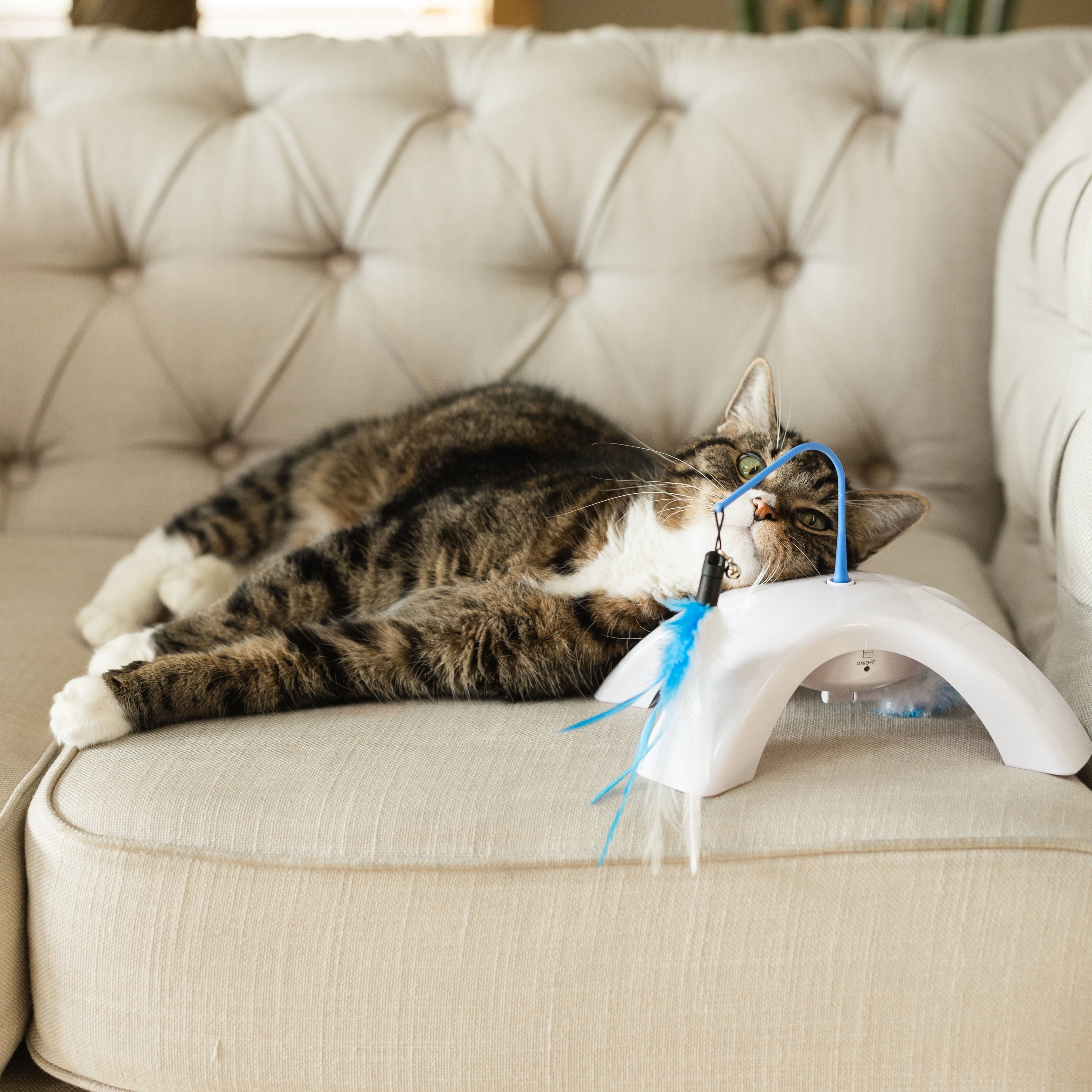 Vibrant Life Dual Swatter Electronic Cat Toy