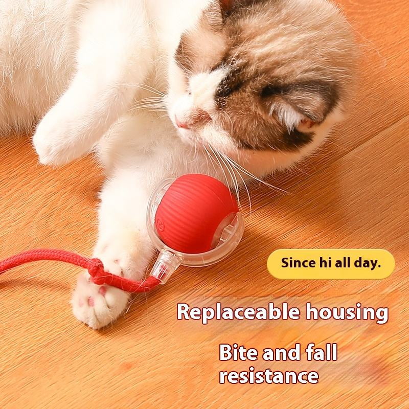 Smart Cat Toy Interactive Smart Ball, Speedy Tail 2.0 Cat Toy