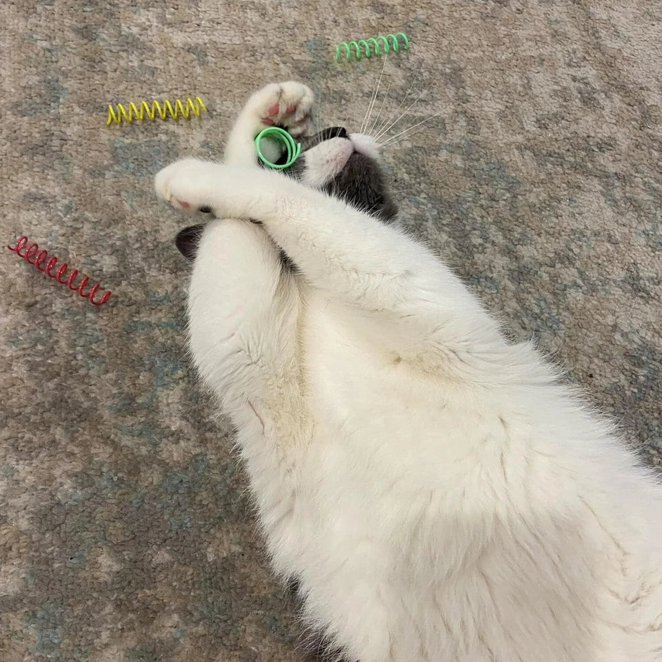 Pet kare - SPOT Thin Colorful Springs Cat Toys Bouncy Coils for Indoor Cats 10 Pcs66