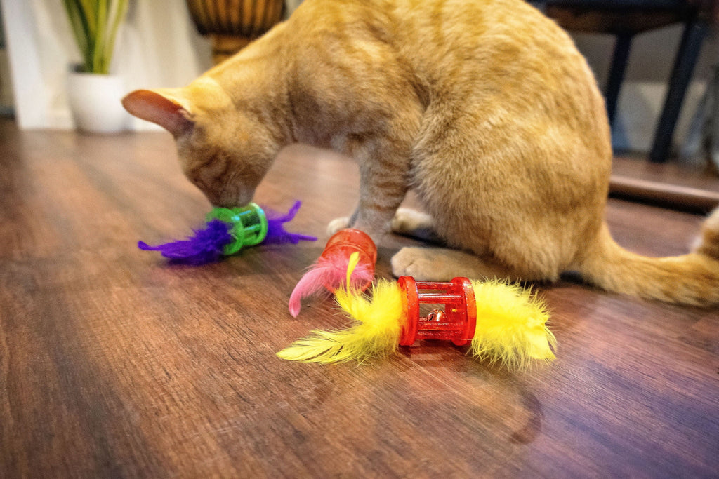 Vibrant Life Feather Rattle Cat Toy, Green