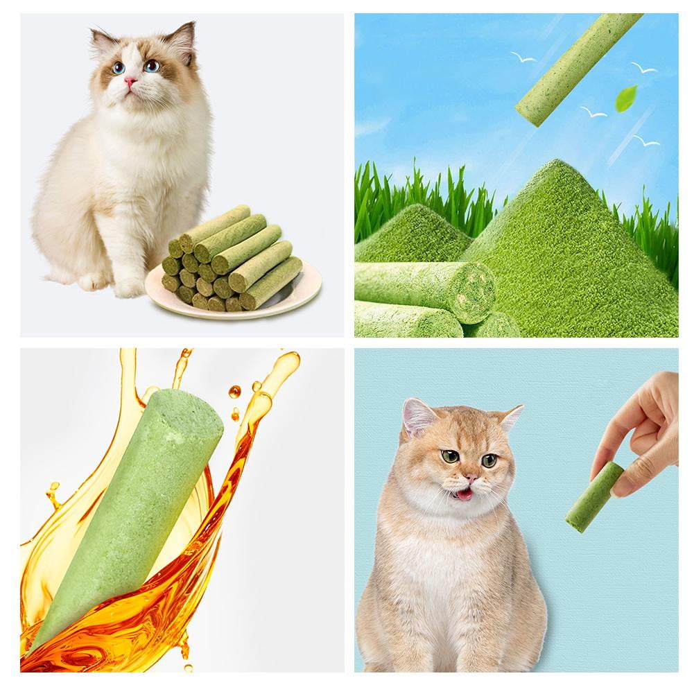 CTDWNT 10-100x Cat Grass Sticks Pet Snacks Cat Food for Cats of All Ages Teeth Clean US V0O2