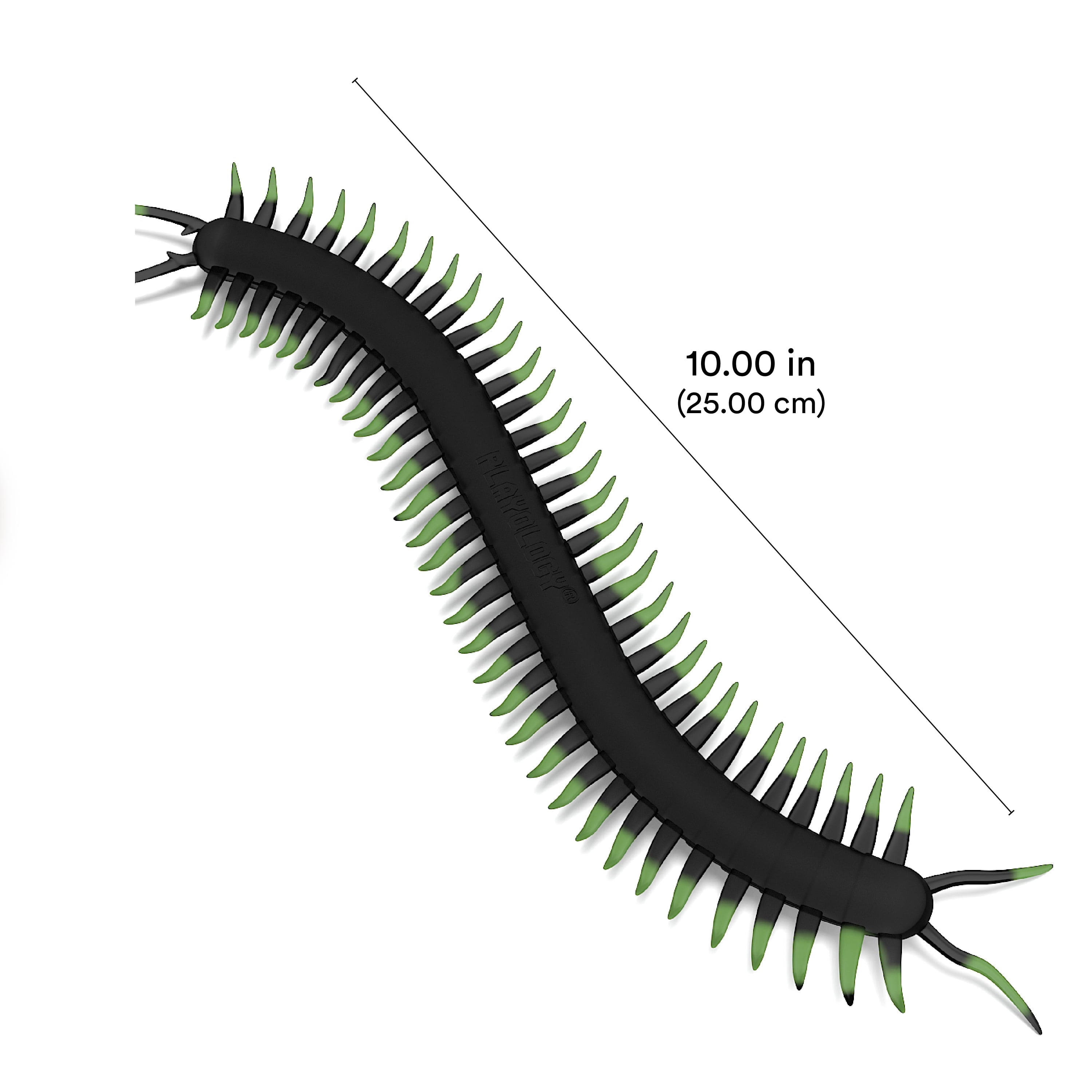 Playology Cat Toys | Catnip Infused Durable Rubber Centipede | Lifelike Toy for Cats
