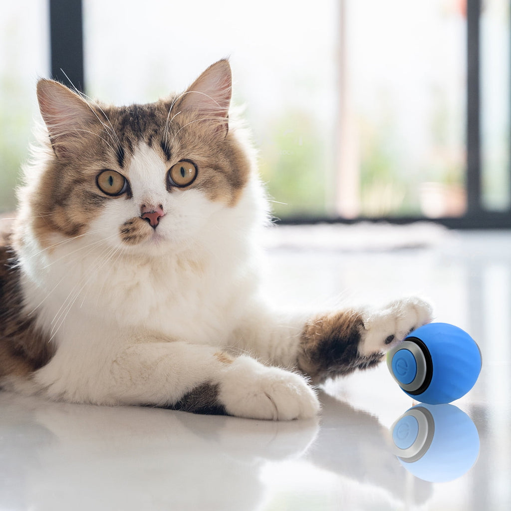 2PCS Speedy Tail 2.0, Interactive Cat Toy for Indoor Cats, Automatic Moving Cat Toy Ball, USB Rechargeable Smart Cat Toys Ball with Replacement Tail, 2 Speed Adjustment