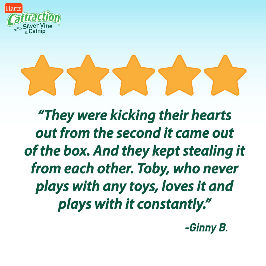 Hartz Cattraction Gator Scratch Cat Toy with Silver Vine and Catnip, Color May Vary