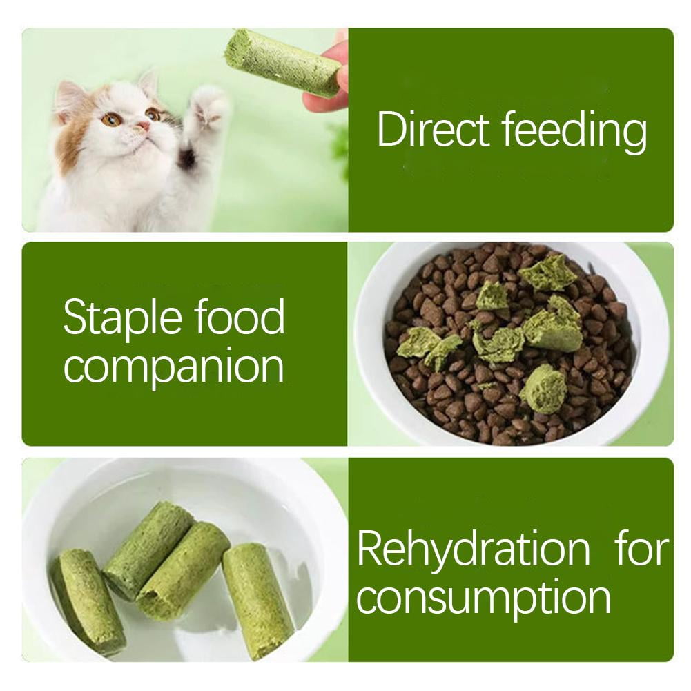 CTDWNT 10-100x Cat Grass Sticks Pet Snacks Cat Food for Cats of All Ages Teeth Clean US V0O2