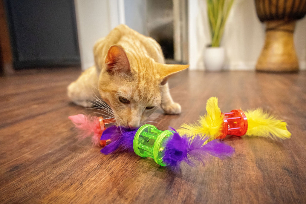 Vibrant Life Feather Rattle Cat Toy, Green