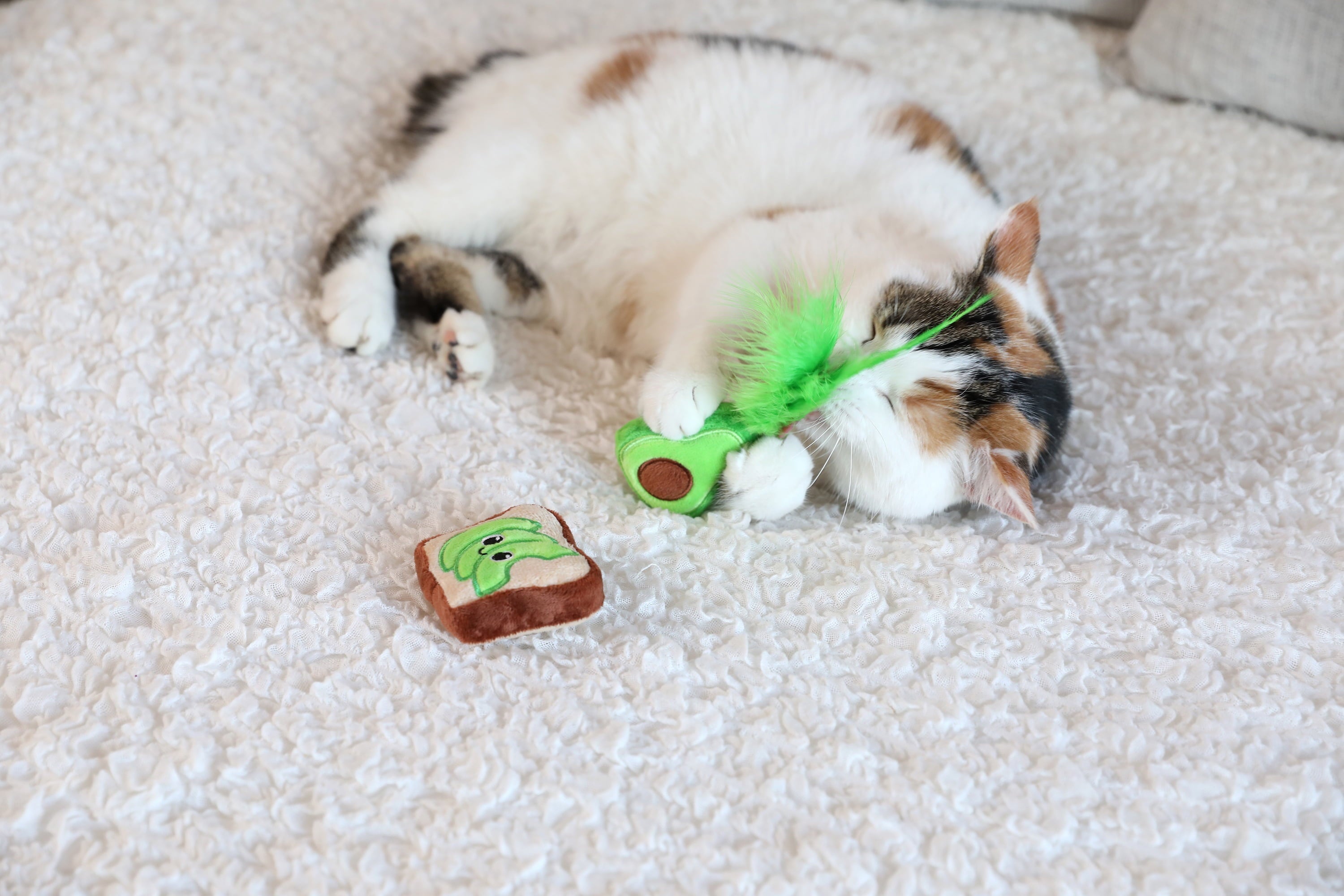 Quirky Kitty Avocado Toast Catnip Interactive Plush Cat Toy, Multicolor, Pack of 2