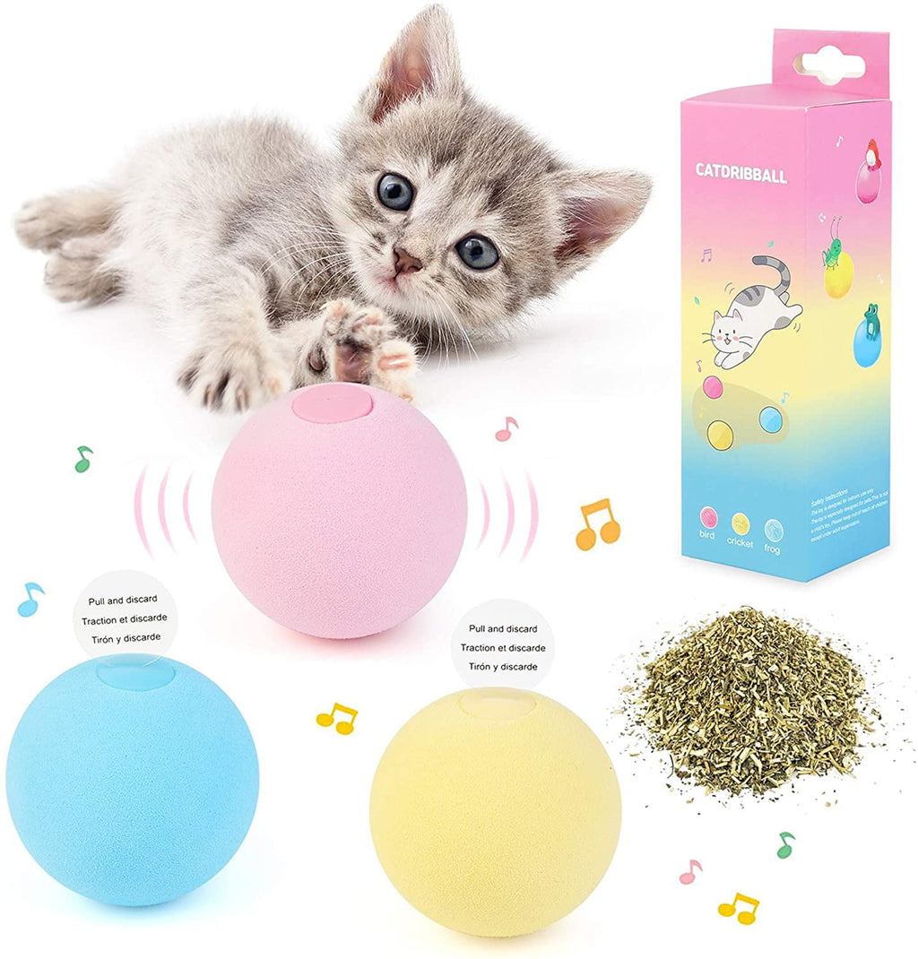 Cat Toy Ball - Interactive Cat Toys for Indoor Cats Refillable Catnip Toys for Cats Kitten Pet Cat Kicker Toys of Funny Lifelike Animal Chirping Sounds Bird Cricket Frog 3PCS B