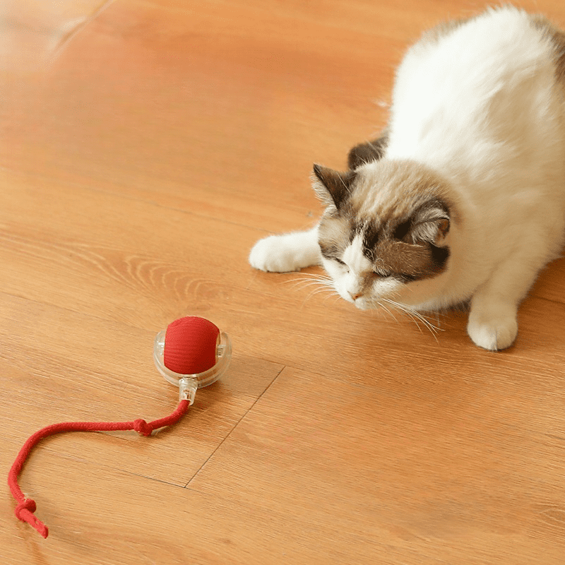 Smart Cat Toy Interactive Smart Ball, Speedy Tail 2.0 Cat Toy