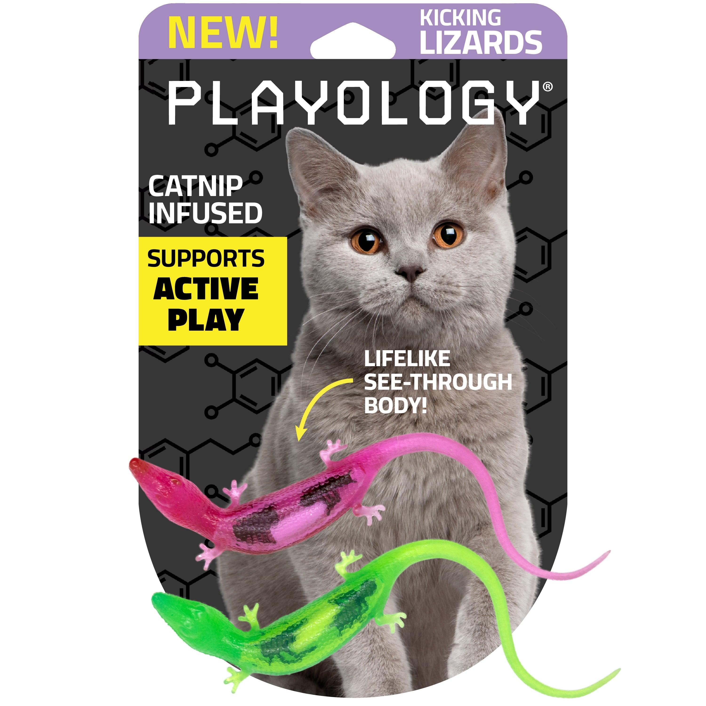 Playology Cat Toys | Catnip Infused Durable Rubber Lizard with Bugs, 2-Pack