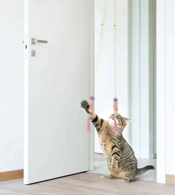 The Dingling Dangler - Caterpillar Cat Toy