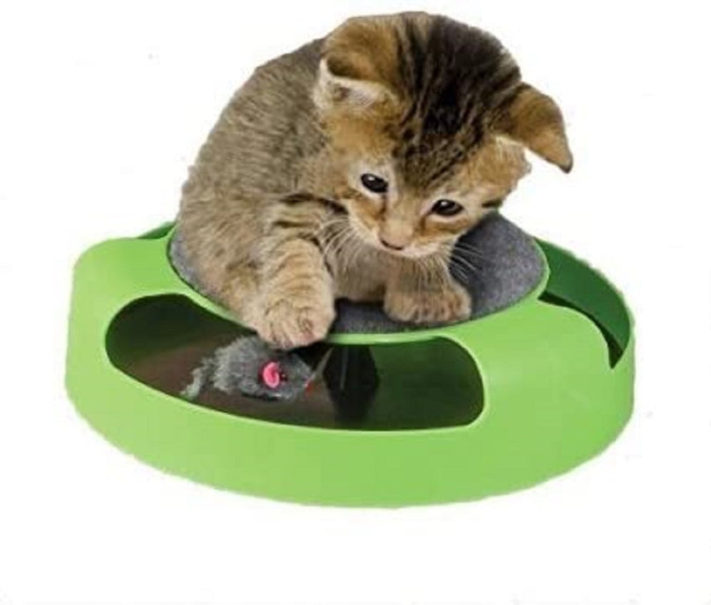 Dependable Industries inc. Essentials Cat Mouse Toy for Kittens- Cats - Catch The Mouse Motion -Cat Toy- Incredibly Fun to Play with & Amusing to Watch