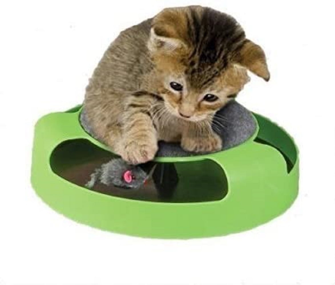 Dependable Industries inc. Essentials Cat Mouse Toy for Kittens- Cats - Catch The Mouse Motion -Cat Toy- Incredibly Fun to Play with & Amusing to Watch