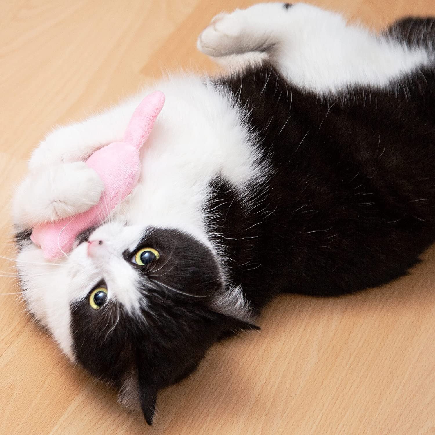 Pretty Kitty Catnip Toys for Cats | 6-Piece Cat Pillow Set with Catnip | Fluffy Pillow Cat Toy | Kitten Toys and Cat Accessories