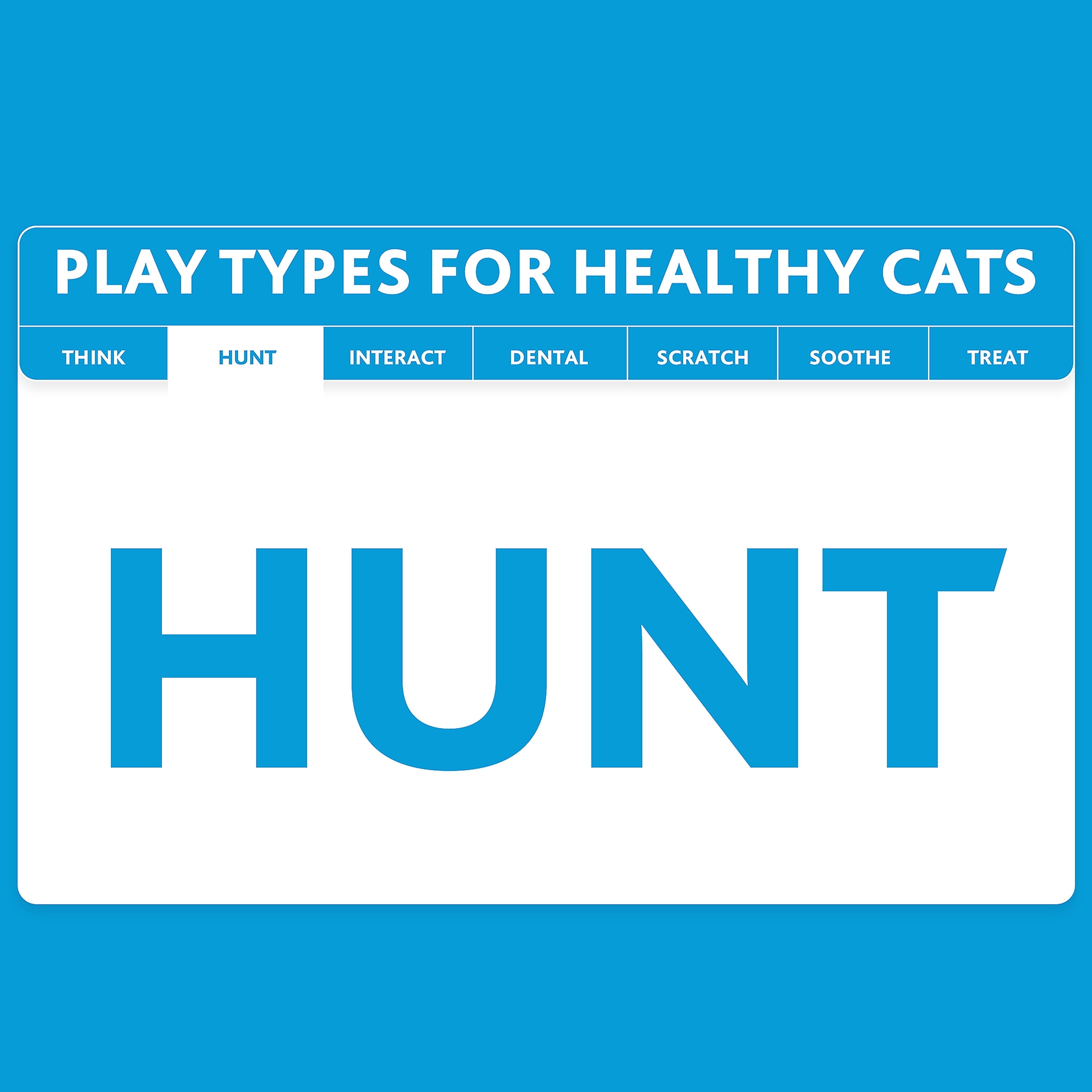 Vibrant Life Lucky Cat Toys with Catnip, 3 Pack