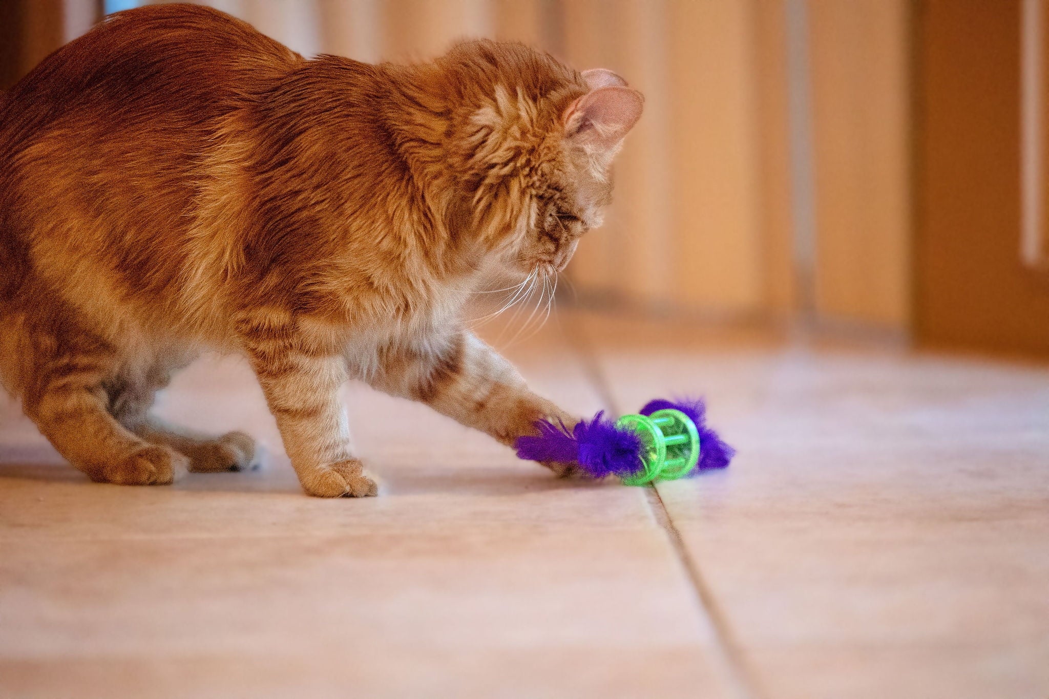 Vibrant Life Feather Rattle Cat Toy, Green