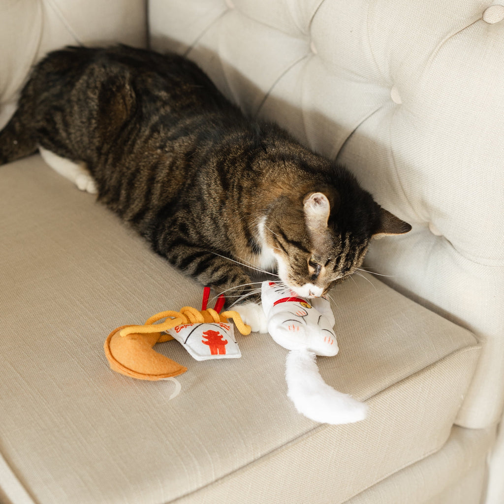 Vibrant Life Lucky Cat Toys with Catnip, 3 Pack