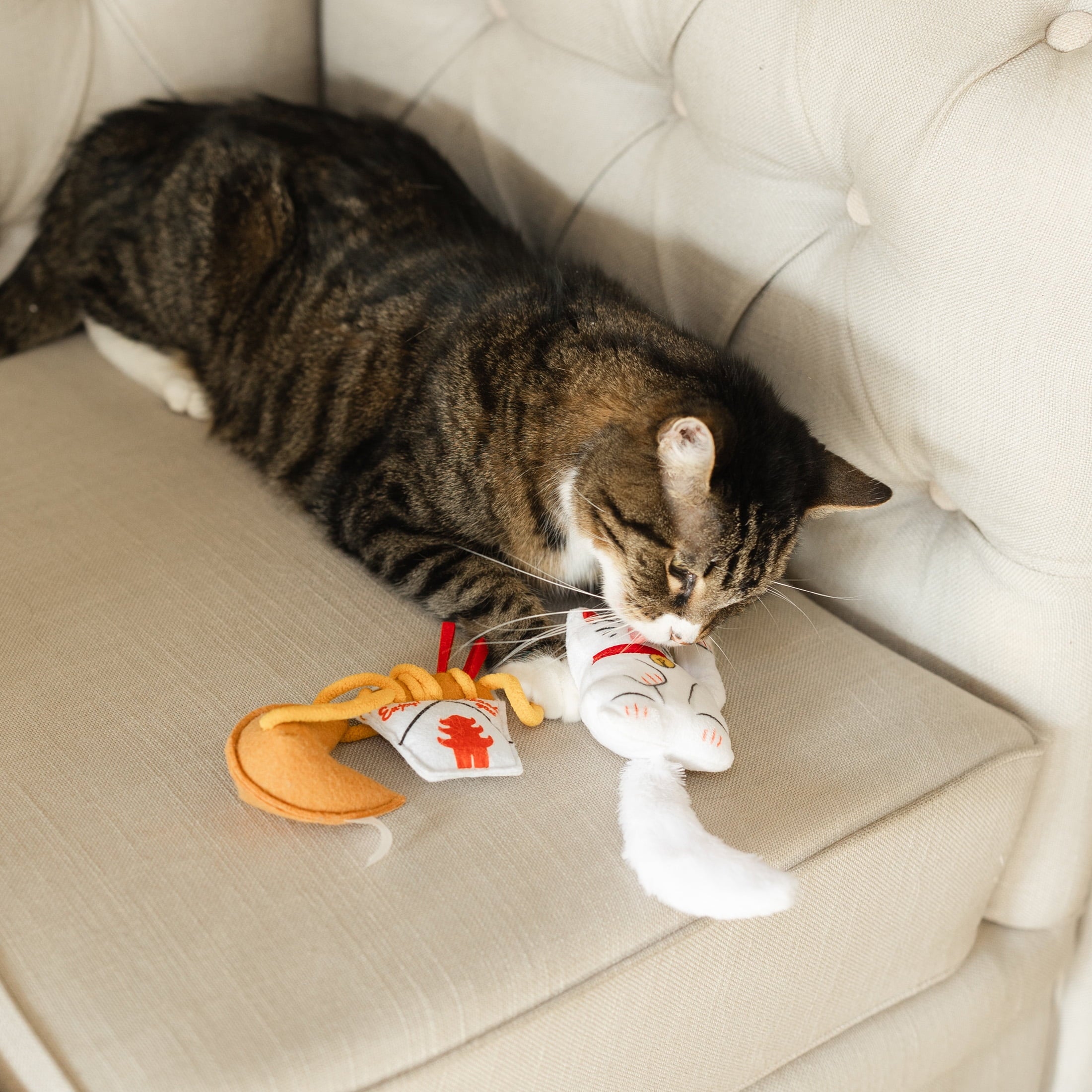 Vibrant Life Lucky Cat Toys with Catnip, 3 Pack