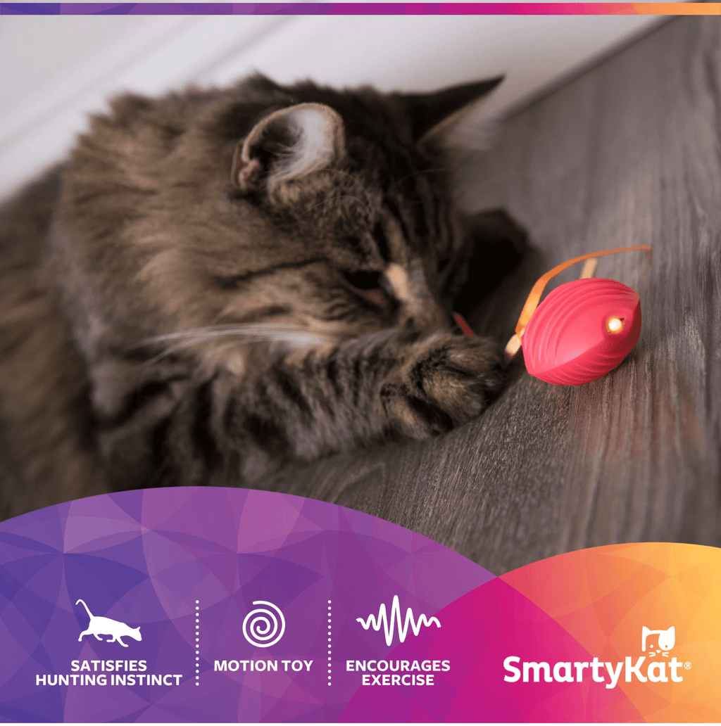 SmartyKat Crazy Cruiser Toy for Indoor Cats & Kittens, Electronic Motion Toy, Vibration Mimics Bugs & Satisfies Hunting Instincts, 3-Pack
