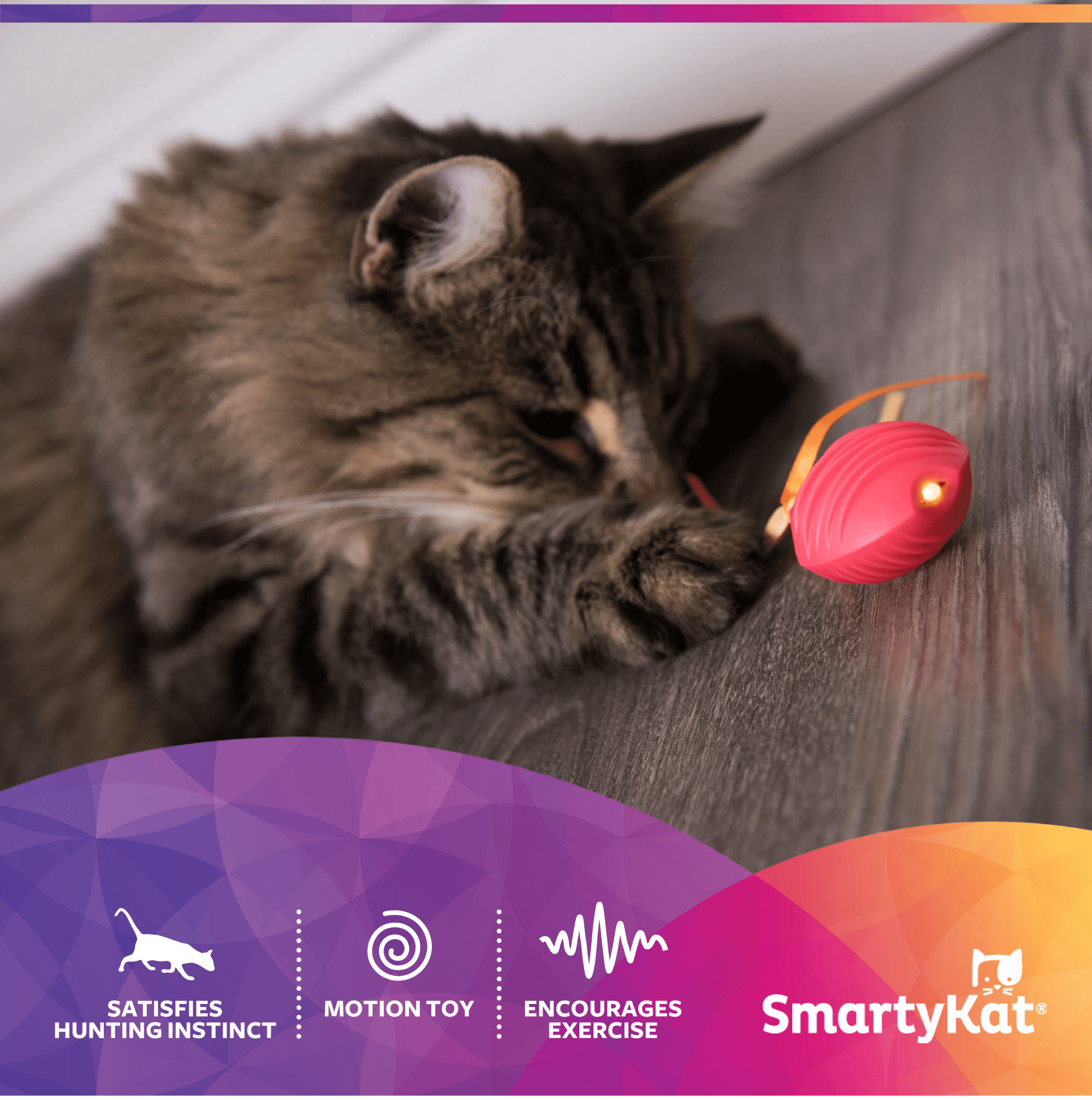 SmartyKat Crazy Cruiser Toy for Indoor Cats & Kittens, Electronic Motion Toy, Vibration Mimics Bugs & Satisfies Hunting Instincts, 3-Pack