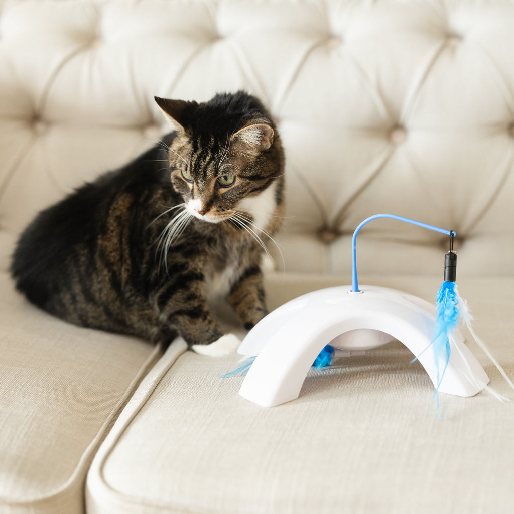 Vibrant Life Dual Swatter Electronic Cat Toy