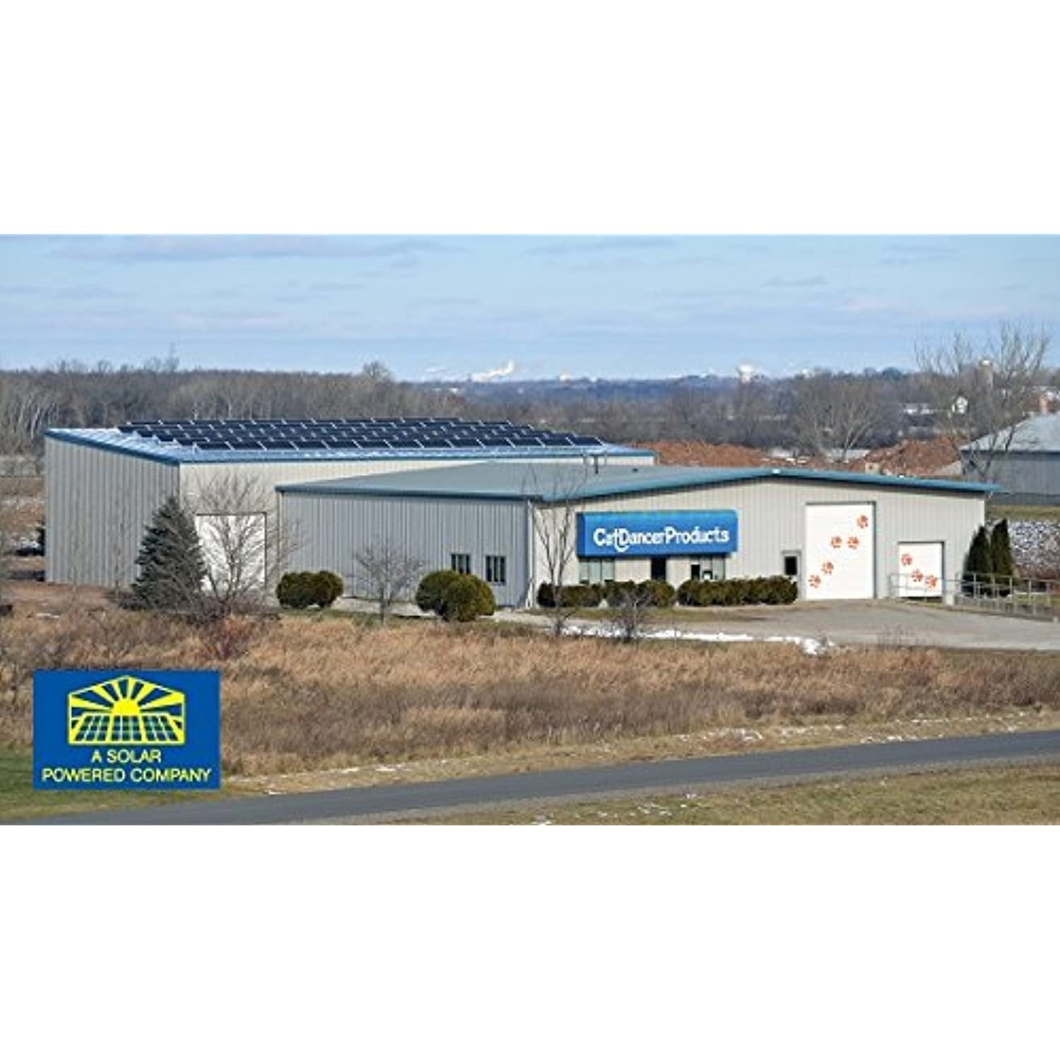 Cat Dancer 022CD01-101 Cat Dancer Original Toy