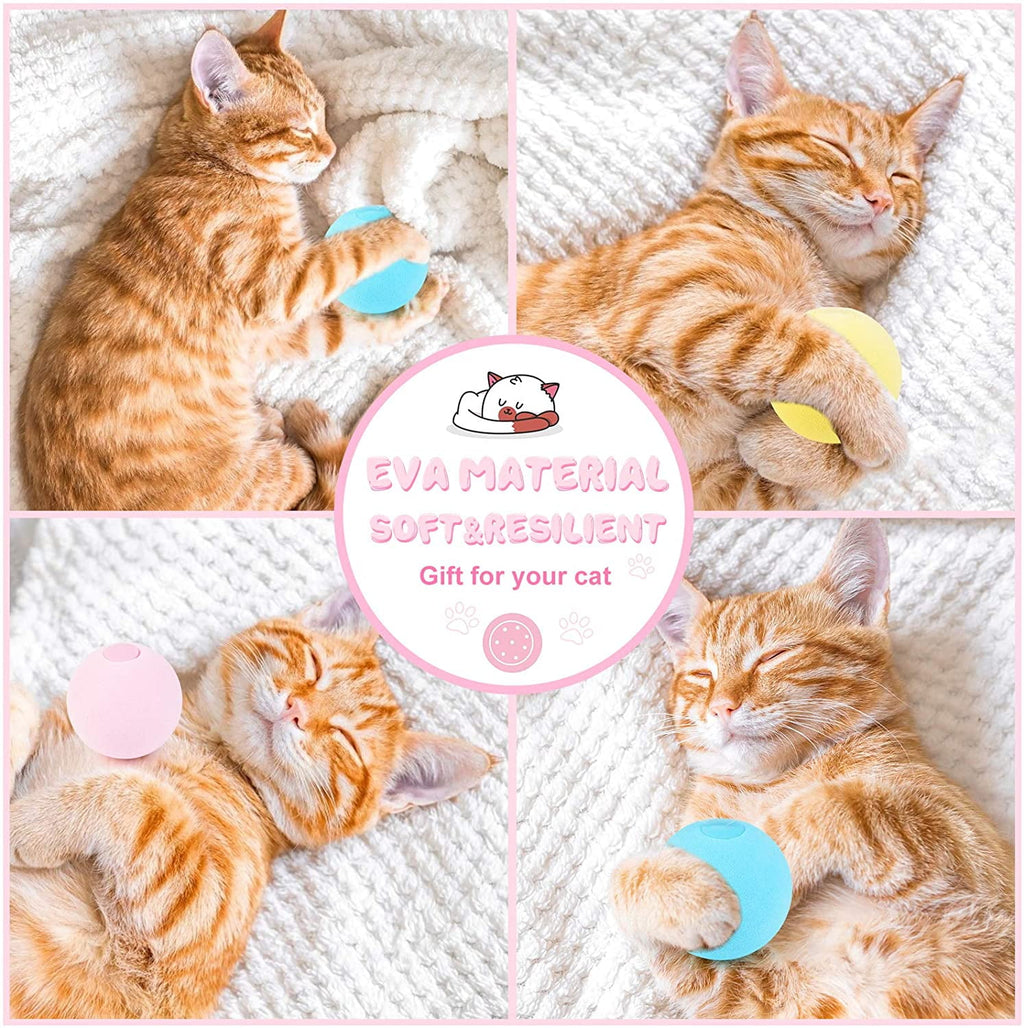 Cat Toy Ball - Interactive Cat Toys for Indoor Cats Refillable Catnip Toys for Cats Kitten Pet Cat Kicker Toys of Funny Lifelike Animal Chirping Sounds Bird Cricket Frog 3PCS B