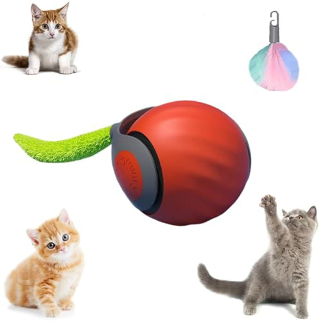 Speedy Tail Cat Toy 2.0 – USB Rechargeable Smart Moving Cat Toy Ball for Indoor Cats, Two Speed Adjustment & Replacement Tail