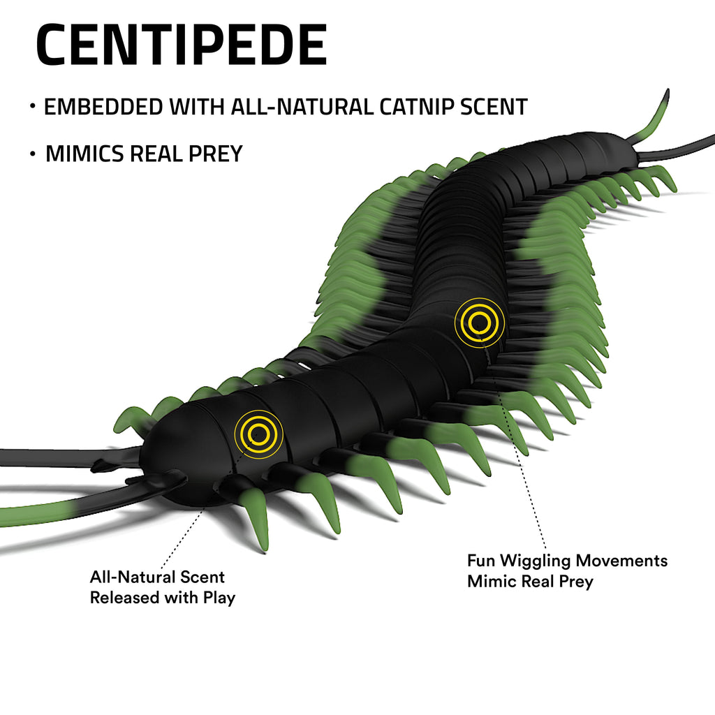 Playology Cat Toys | Catnip Infused Durable Rubber Centipede | Lifelike Toy for Cats