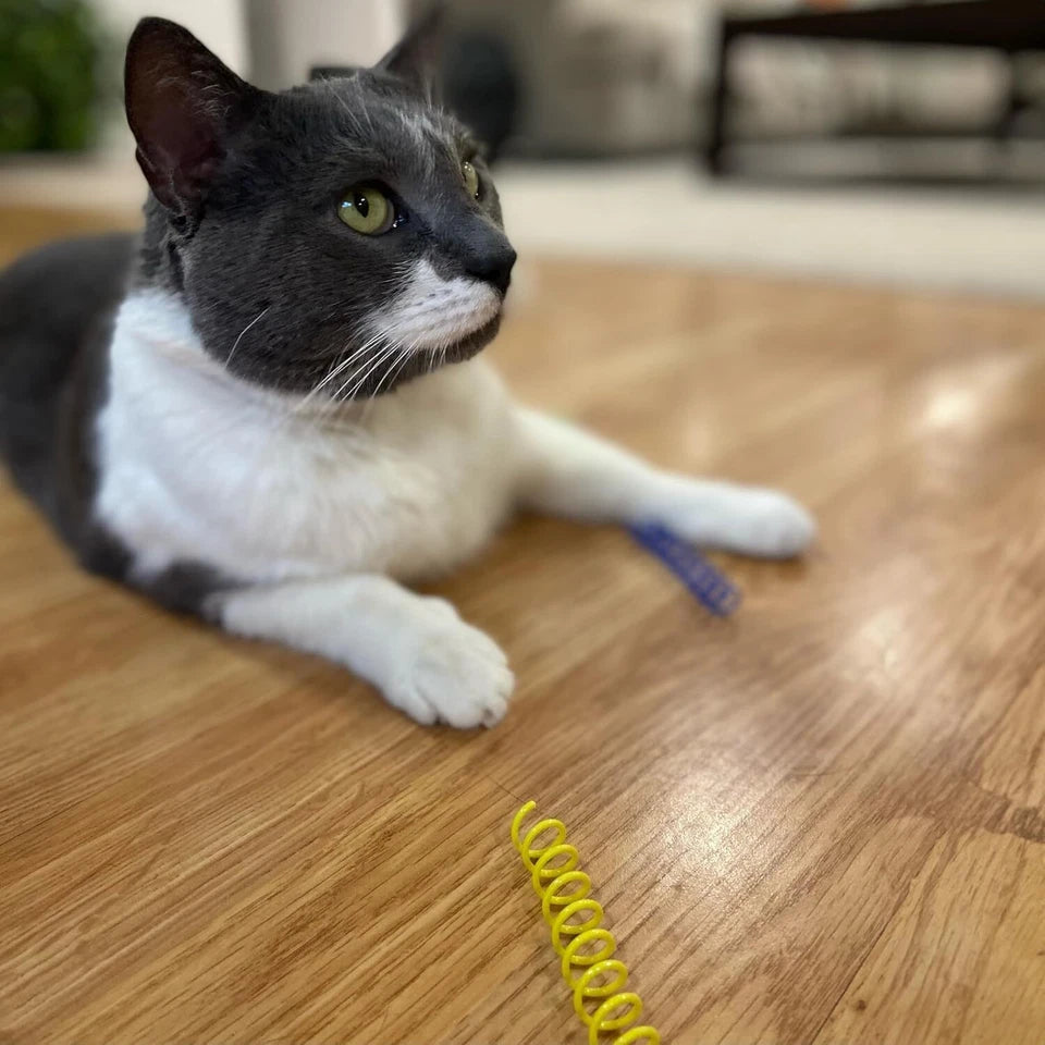Pet kare - SPOT Thin Colorful Springs Cat Toys Bouncy Coils for Indoor Cats 10 Pcs66